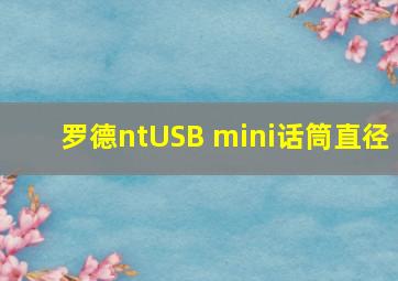 罗德ntUSB mini话筒直径